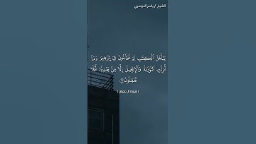 سورة آل عمران (٦٥ - ٦٦)/ ياسر الدوسري