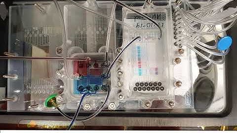 A Modular Microfluidic Parallel Dispensing System - microTAS 2020
