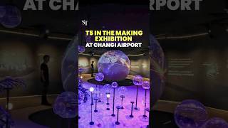 T5 In The Making A New Exhibition At Changi Airport