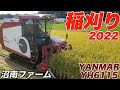 稲刈り2022