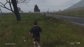 Film - DayZ players hve trust issues