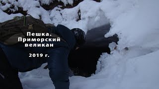 Пешка Приморский Великан 2019