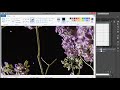 Curso Adobe Illustrator CC 5. Aula 45. Importando e Configurando imagens