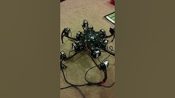 Hexapod Robot Test