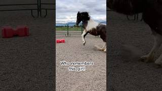 I love getting updates on my rehab horses! ❤️