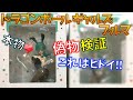 【ドラゴンボールギャルズ】ブルマ バニーガールver 本物と偽物検証！ニセモノはお尻がきたない！