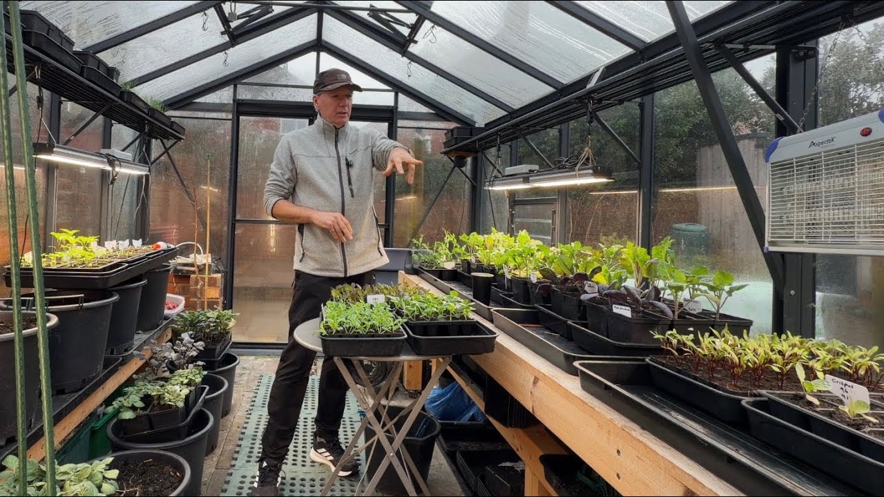 В феврале наблюдался рост рассады, ранний картофель и некачественный компост.