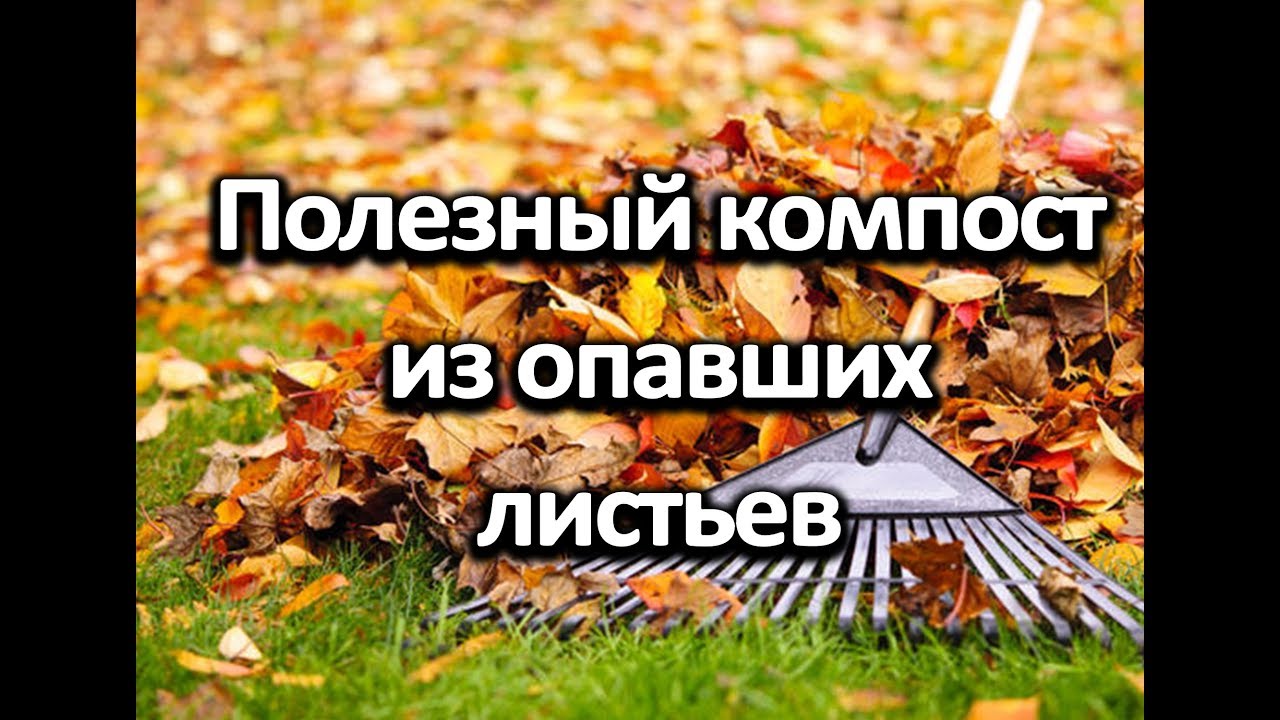 Как сделать питательное удобрение своими руками. Листовая земля.