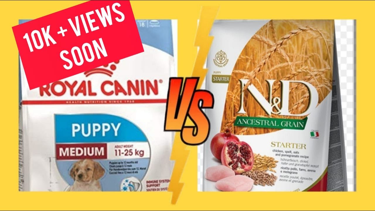 Royal Canin vs N & D Farmina review   Best dog food in your budget  Dog  food got 25 Star ratings 