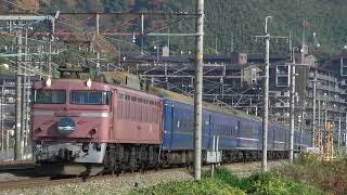 4002レ　日本海　EF81-101牽引(2009-11-29)