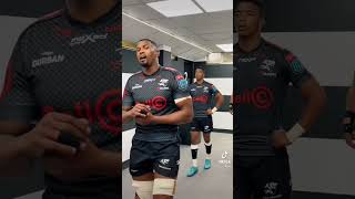 The Sharks Pre Game Chant viral trending springboks rugby rugbyleague springboksrugby