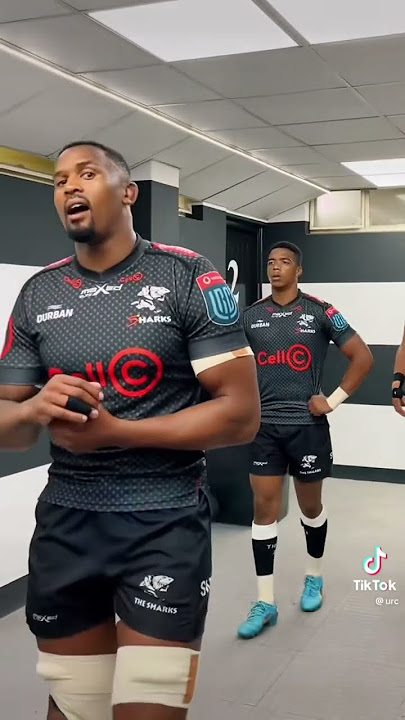 The sharks pre game chant #viral #trending #springboks #rugby #rugbyleague #springboksrugby
