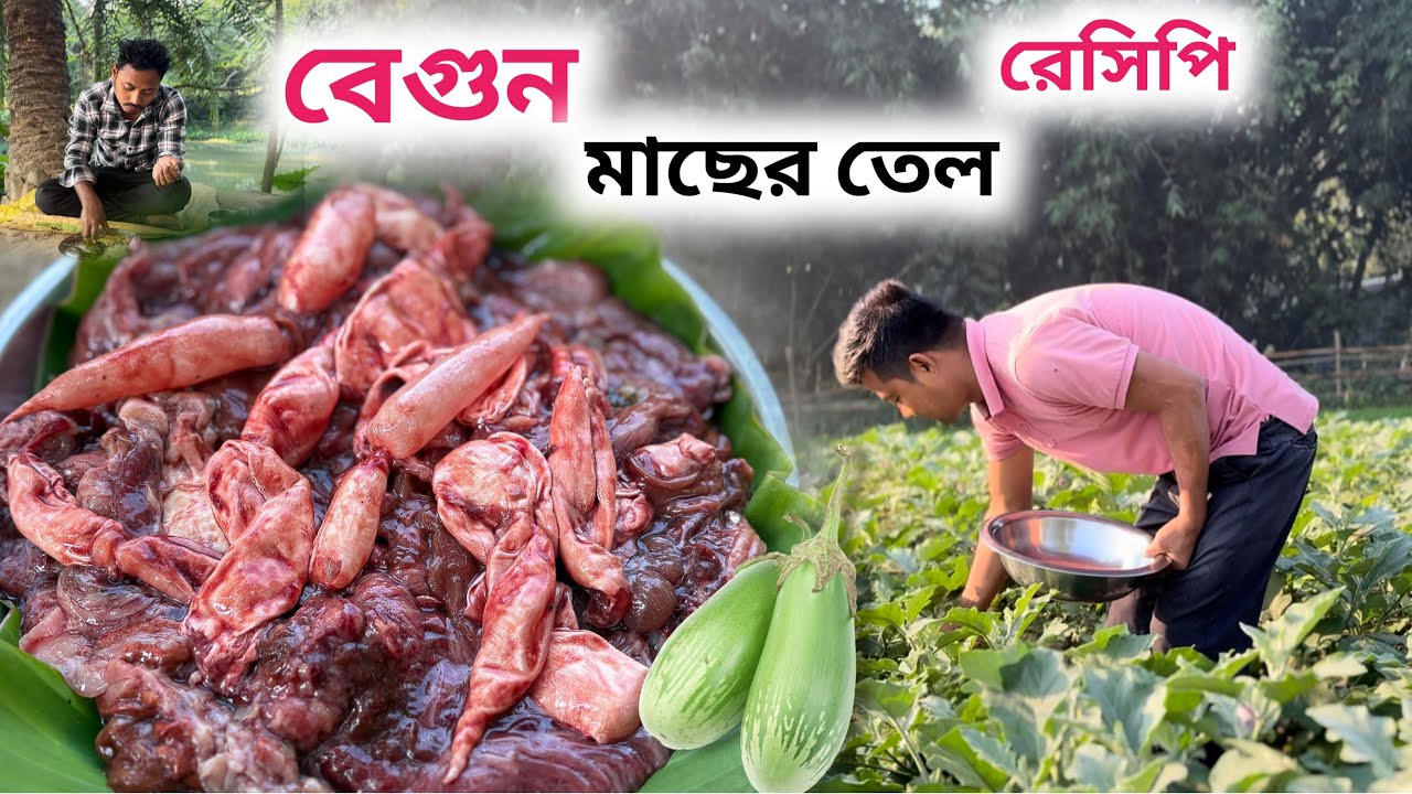 মাছের তেল | শীতের বেগুন দিয়ে একটা অসাধারণ রেসিপি 