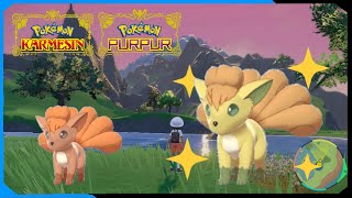 Shiny Event in Karmesin &amp; Purpur! 🌟 Knarbon, Vulpix &amp; Camaub | Shiny Vulpix Giveaway