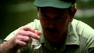 Career as a Geologists