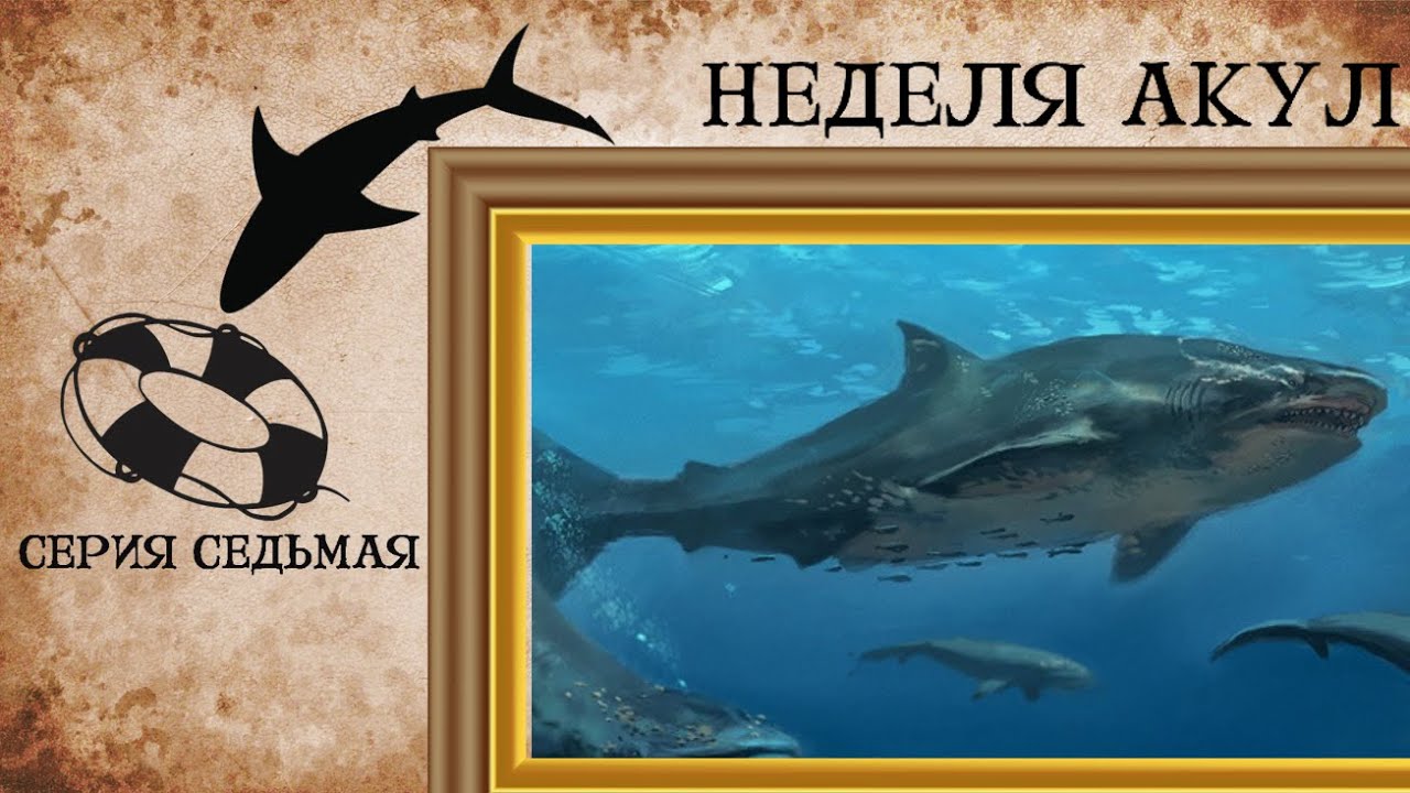 МЕГАЛОДОН: РАЗОБЛАЧЕНИЕ МИФОВ О ВЕЛИЧАЙШЕМ ХИЩНИКЕ! | НЕДЕЛЯ АКУЛ, ЭПИЗОД 7