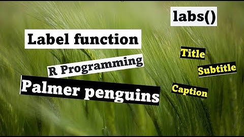 Label function in R Programming