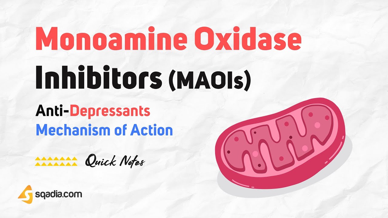 Anti-Depressants Mechanism of Action | Monoamine Oxidase Inhibitors ...