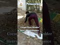 From Waste to Wealth! 🌿 Transform dry wood and leaves into invaluable fertilizer.
