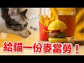 【好味小姐】做一份麥當勞全餐給貓咪！薯條可樂神還原！｜貓鮮食廚房EP187