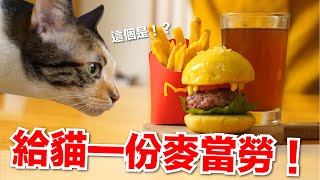 【好味小姐】做一份麥當勞全餐給貓咪薯條可樂神還原貓副食貓鮮食廚房EP187