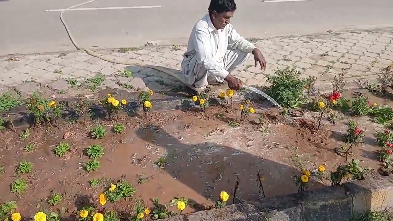 اسلام آباد شکر پڑیاں کے مقام پر سپورٹس کمپلیکس کا خوبصورت منظر اللہ پاک میرا  وطن پاکستان سلامت رہے 