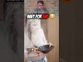 Try not To laugh Challenge pt 139 😂 @UP45JOKES | Water Challenge | #viral #trending #youtubeshorts