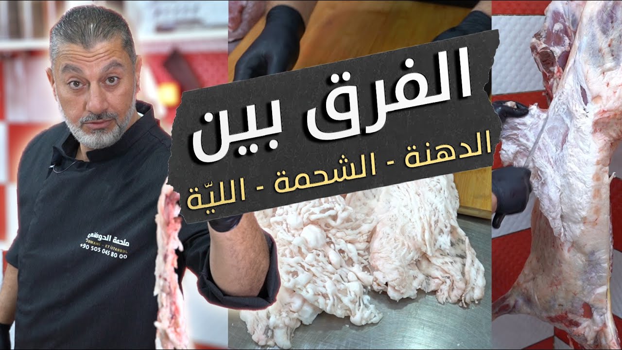 شو الفرق بين الدهنة، الشحمة، و اللية بالخروف؟ 🐑🔍وكيف بيلعب اللحام فيها | ليّة و دهنة و شحمة 🧈