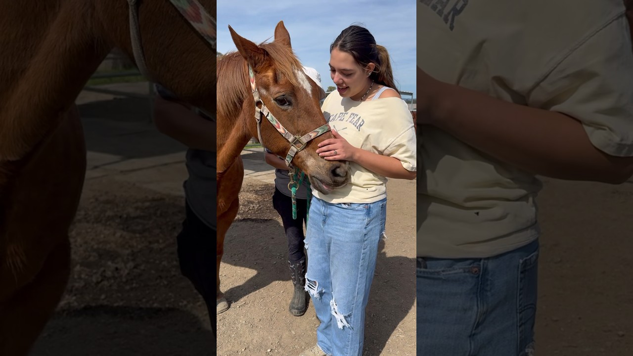 Let’s learn how to meet a horse with Dawn and our newest Jameson team member, Gabby! 