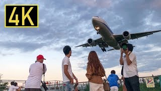 [まさかのゴーアラ] 飛行機撮りの聖地~千里川土手の魅力 2019年9月14日