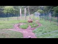 What is this bear doing?