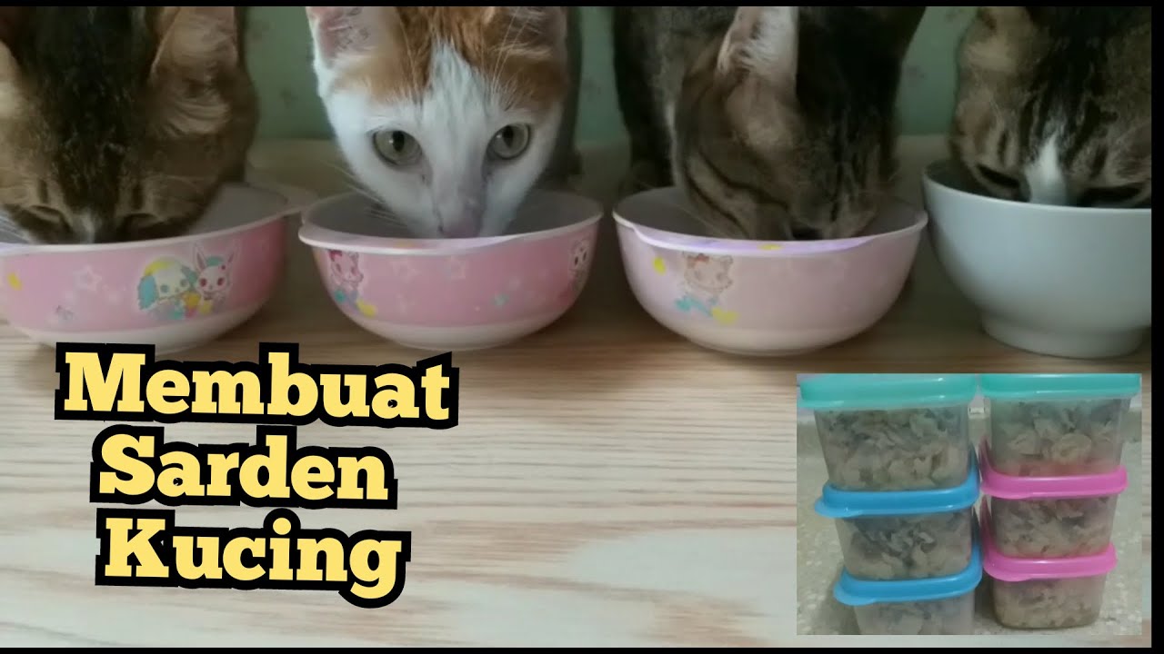 Wet Food Untuk Kucing Jual Makanan Kucing Sheba Kaleng 85 gram