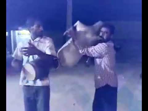 افراح عرب ساحل هبان علی روستایی 