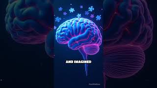 The Mystery of False Memories Unveiled
