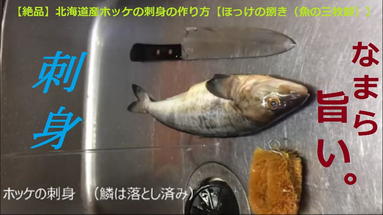 絶品 北海道産ホッケの刺身の作り方 ほっけの捌き 魚の三枚卸 Youtube