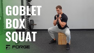 Goblet Box Squat