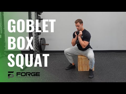 Video: dumbbell goblet box squat