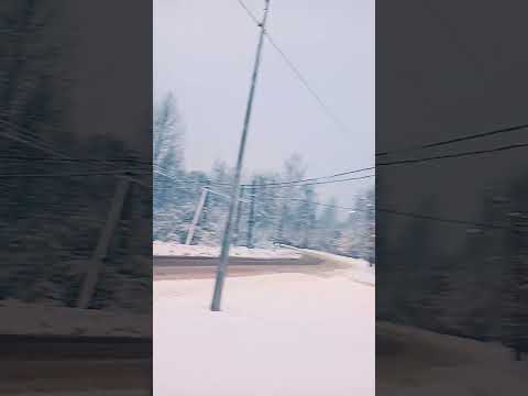 Гостиница для животных по. Коволево. #рекомендации #гостиница #животные #питер #питербург #зооотель