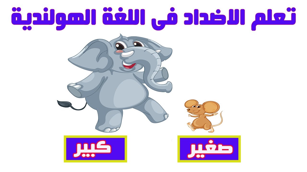 تعلم اهم الكلمات الشائعة وعكسها ( الاضداد ) فى اللغة الهولندية