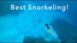 Hawaii Vlog #10: Best Place to Snorkel in Hawaii! // Two Step