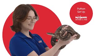 Setting Up Your Ball Python's Terrarium: A Complete Guide by PetSmart 381 views 3 weeks ago 2 minutes, 19 seconds