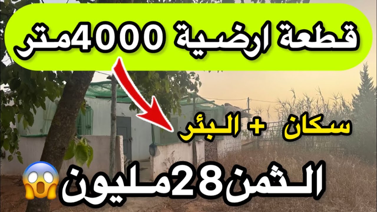 🚨قطعة ارضية  المساحة4000متر🚨 📌نواحي تيفلت 📌فيها سكن وبئر وبعض الاشجار الثمن 28مليون ☎️0641130757