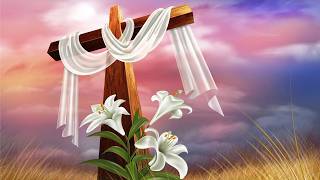 Holy Spirit Catholic Church  -  Soddy Daisy TN Live Stream