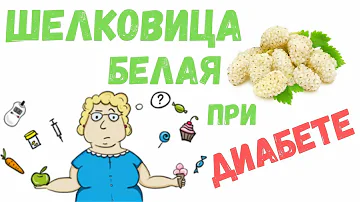 Шелковица белая описание и приготовление, польза и показания к применению