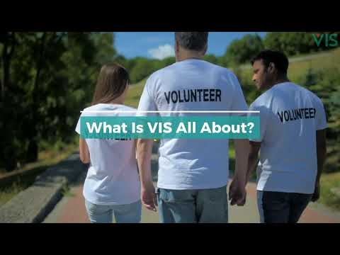 Examples For Vis What Is Vis Examples On Insurance