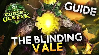 Everything YOU Need to Know About The Blinding Vale in Midnight Season 2...