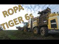 ROPA Tiger 6s bei der Zuckerrüben-Ernte - Hautnah dabei - Sugarbeet harvesting Up close and personal