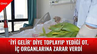 ‘İyi Gelir’ Diye Toplayıp Yediği Ot, Iç Organlarına Zarar Verdi; ‘Ben O Hataya Düştüm, Siz Düşmeyin’