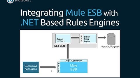 Integrating Mule ESB with .NET Based Rules Engines