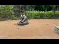 рџђј Giantpanda Xiao Qi Ji Panda Yard Update рџђј Giantpanda Xiao Qi Ji Panda Yard Update
